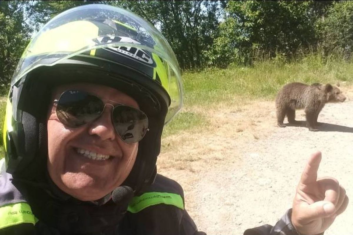 Turista italiano é morto por urso após parar para fotografar