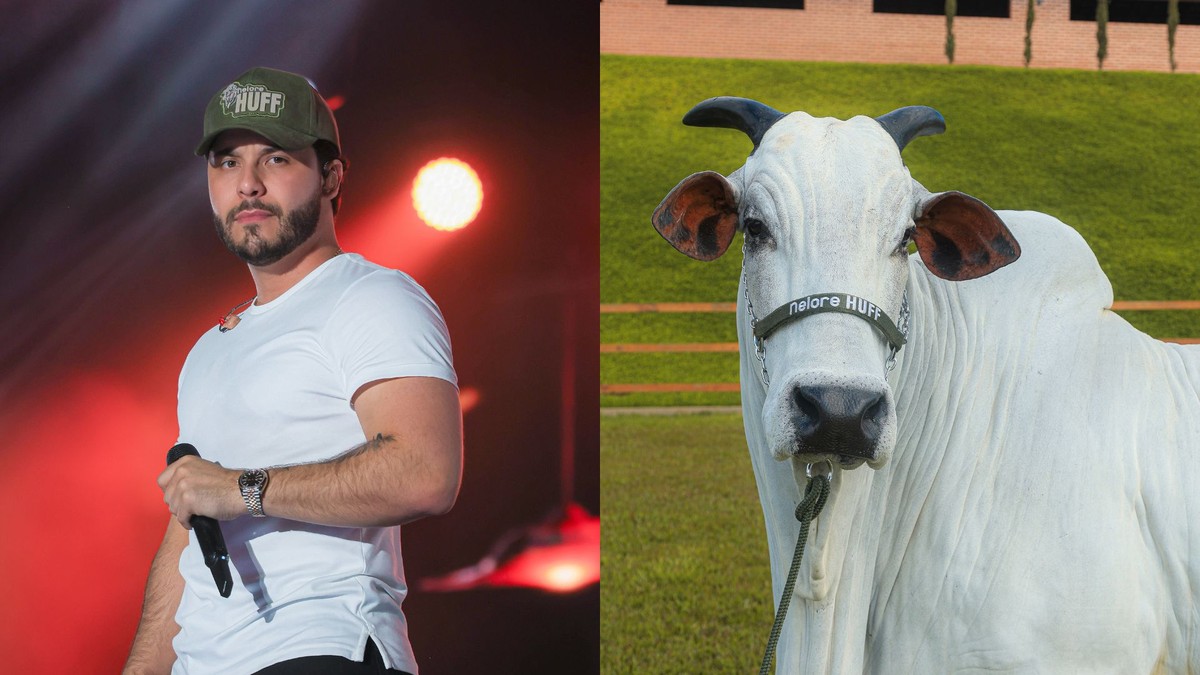 Murilo Huff compra vaca de R$ 17 milhões em leilão: 'Uma das mais cobiçadas do mundo'