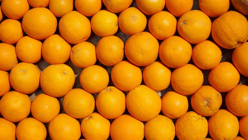 Laranja para suco tem baixa cotação e compra limitada