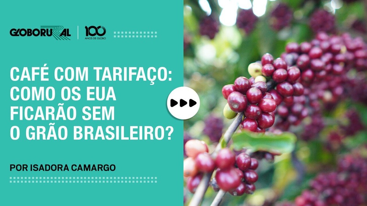 Café com tarifaço: como ficam os EUA sem o grão do Brasil? Assista ao vídeo