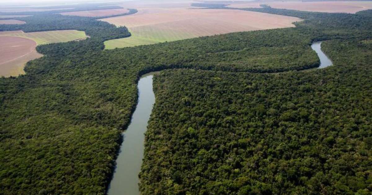 Como votou cada deputado no projeto que flexibiliza o licenciamento ambiental; veja