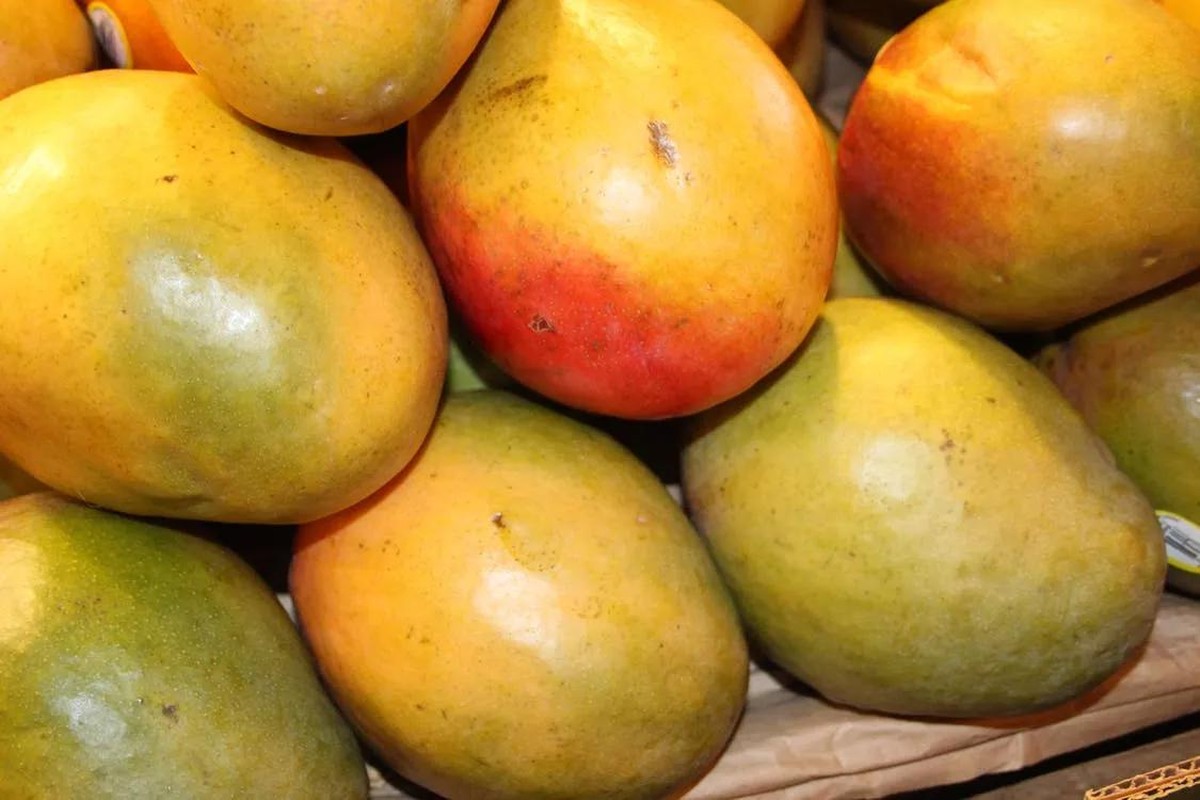 Setor de frutas diz que vigência das tarifas de Trump inviabiliza mercado