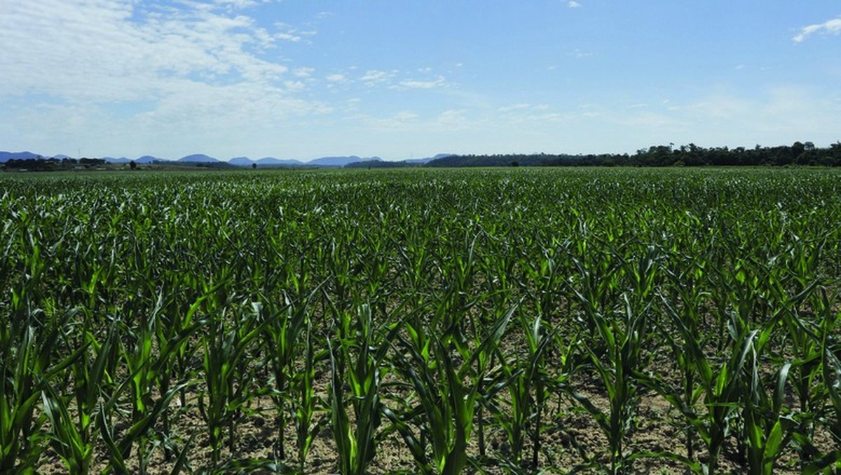 Valorização exponencial das terras agrícolas nos últimos 5 anos não deve se repetir, dizem especialistas