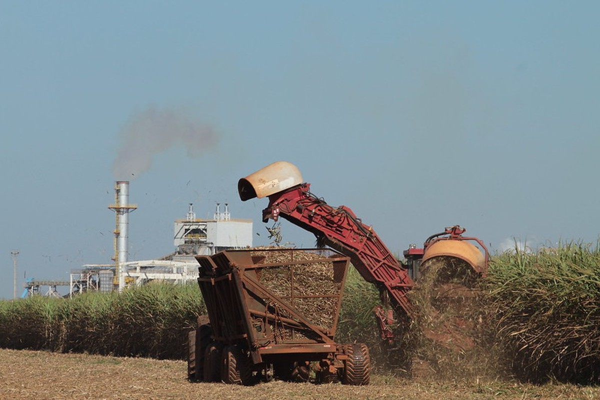 Justiça de SP abre espaço para revisão de ICMS pago por usinas em 2023