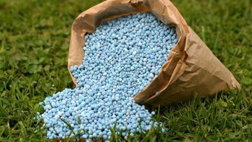 Sanções contra a Rússia ameaçam segurança dos fertilizantes