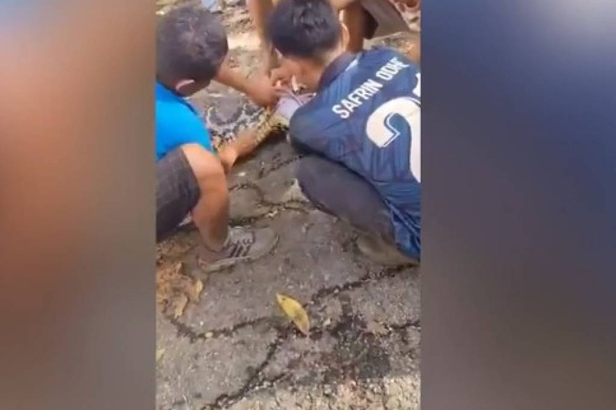 Homem é engolido por cobra de 8 metros na Indonésia