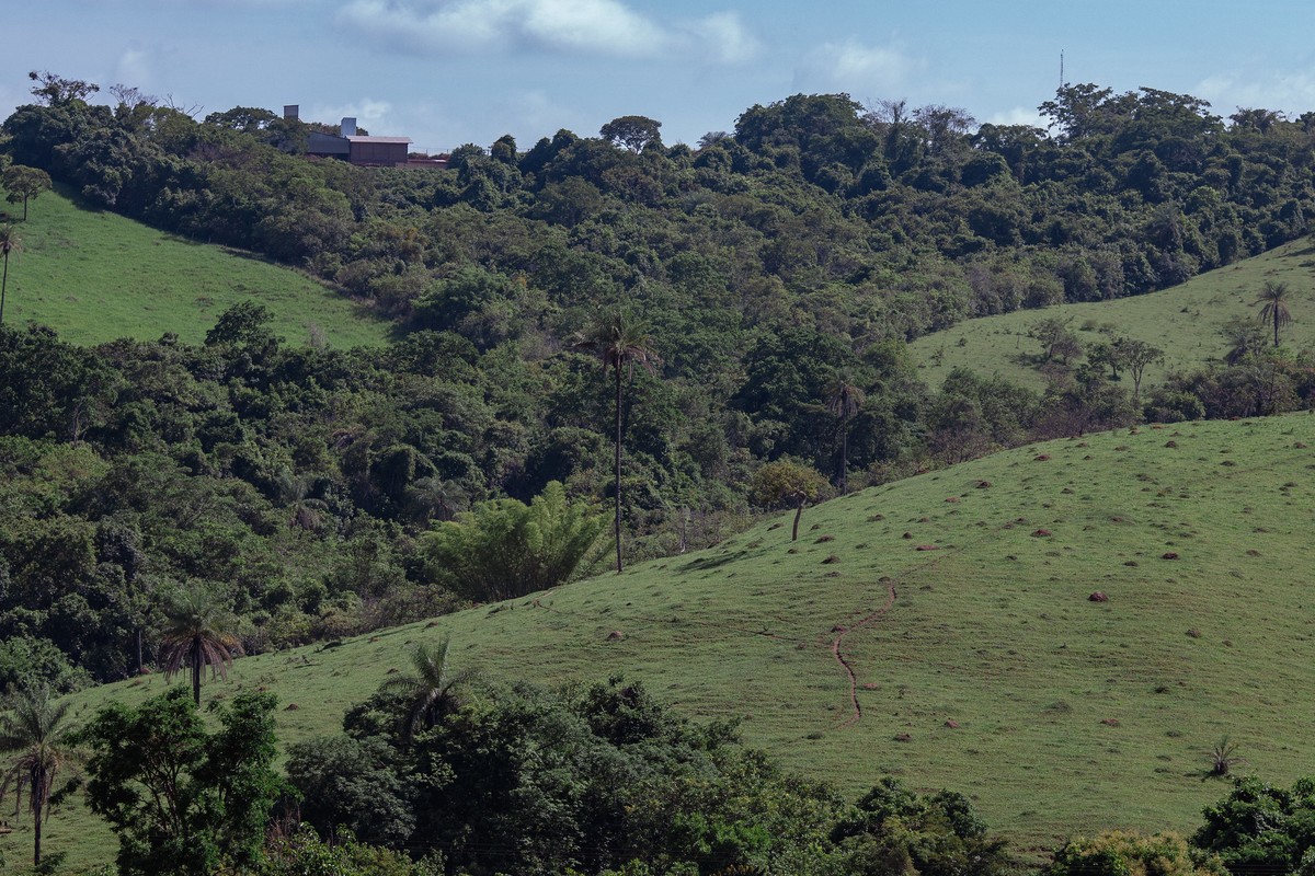 Setor agropecuário vê avanços e custos menores com novo licenciamento ambiental