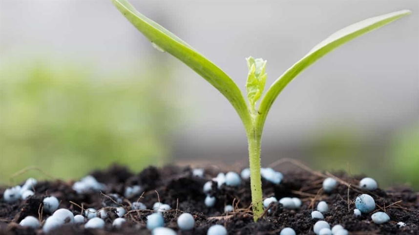 Brasil pode reduzir dependência por fertilizantes importados
