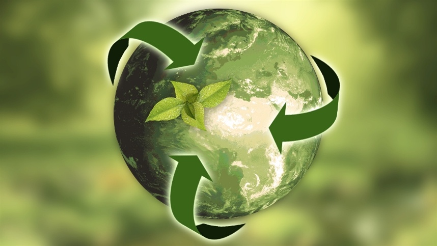 Sustentabilidade no Pantanal vai além da paisagem