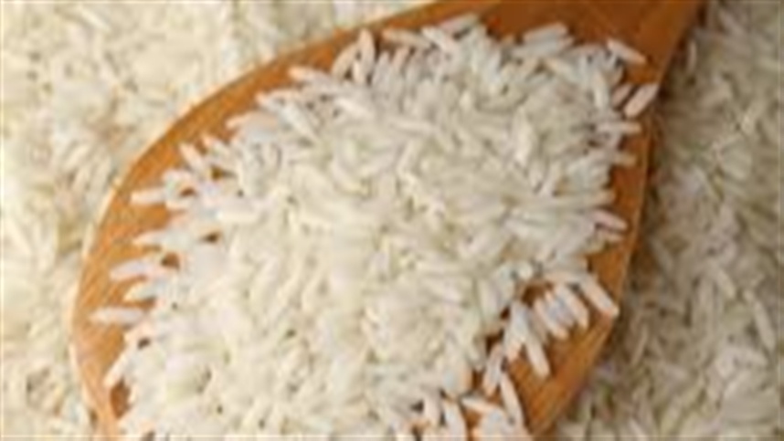 Clima favorece produtividade do arroz em 2024/25