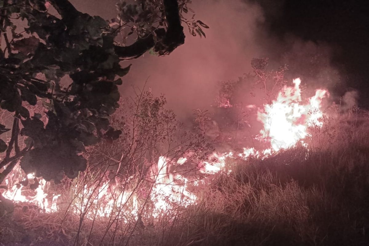 Incêndios consomem vegetação em área de preservação em Primavera do Leste