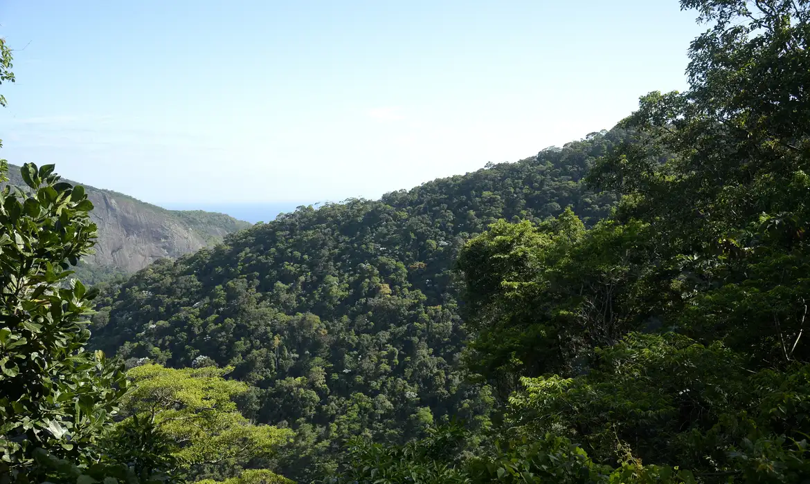 COP 30 no Brasil: o papel do agro na sustentabilidade climática