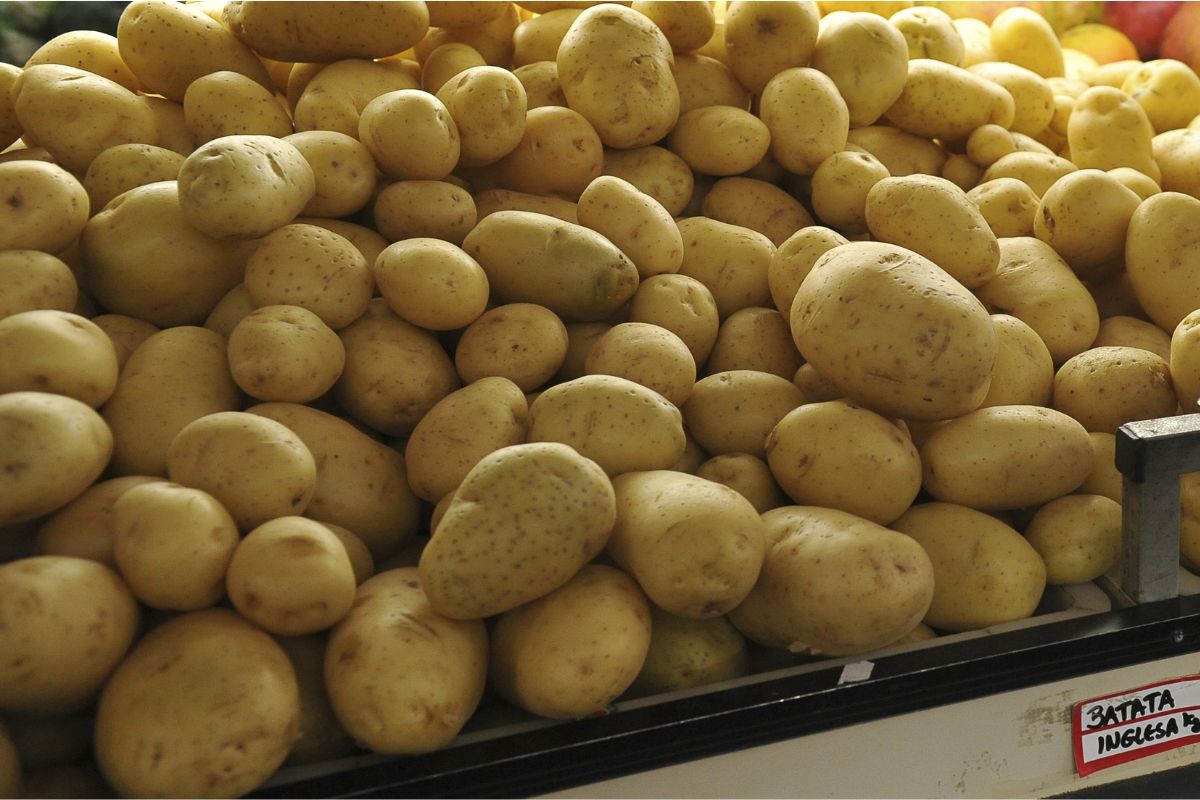 Batata dispara e pressiona o bolso. (Foto: Arquivo/Agência Brasil)