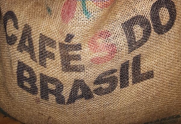 Brasil deixa de embarcar mais de 450 mil sacas de café e acumula prejuízo de R$ 1 bi