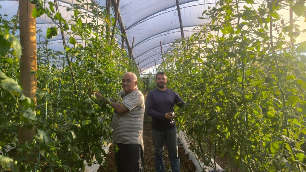 Impulso financeiro remodela agronegócio familiar em São Paulo
