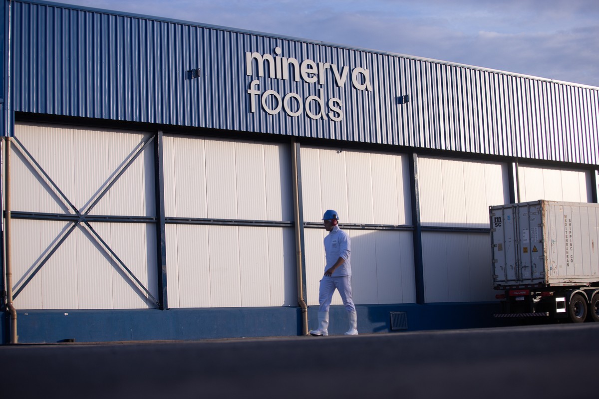 Aumento de capital da Minerva deve chegar a R$ 3 bilhões até 2028
