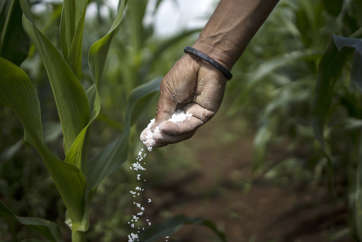 Alta nos fertilizantes fosfatados pressiona mercado e impõe desafios à safra 2025/26