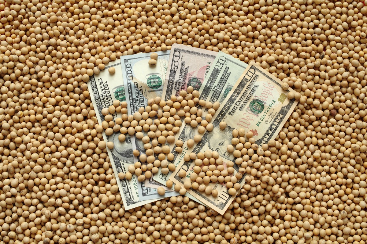 Soja e milho sobem na bolsa de Chicago nesta quarta-feira