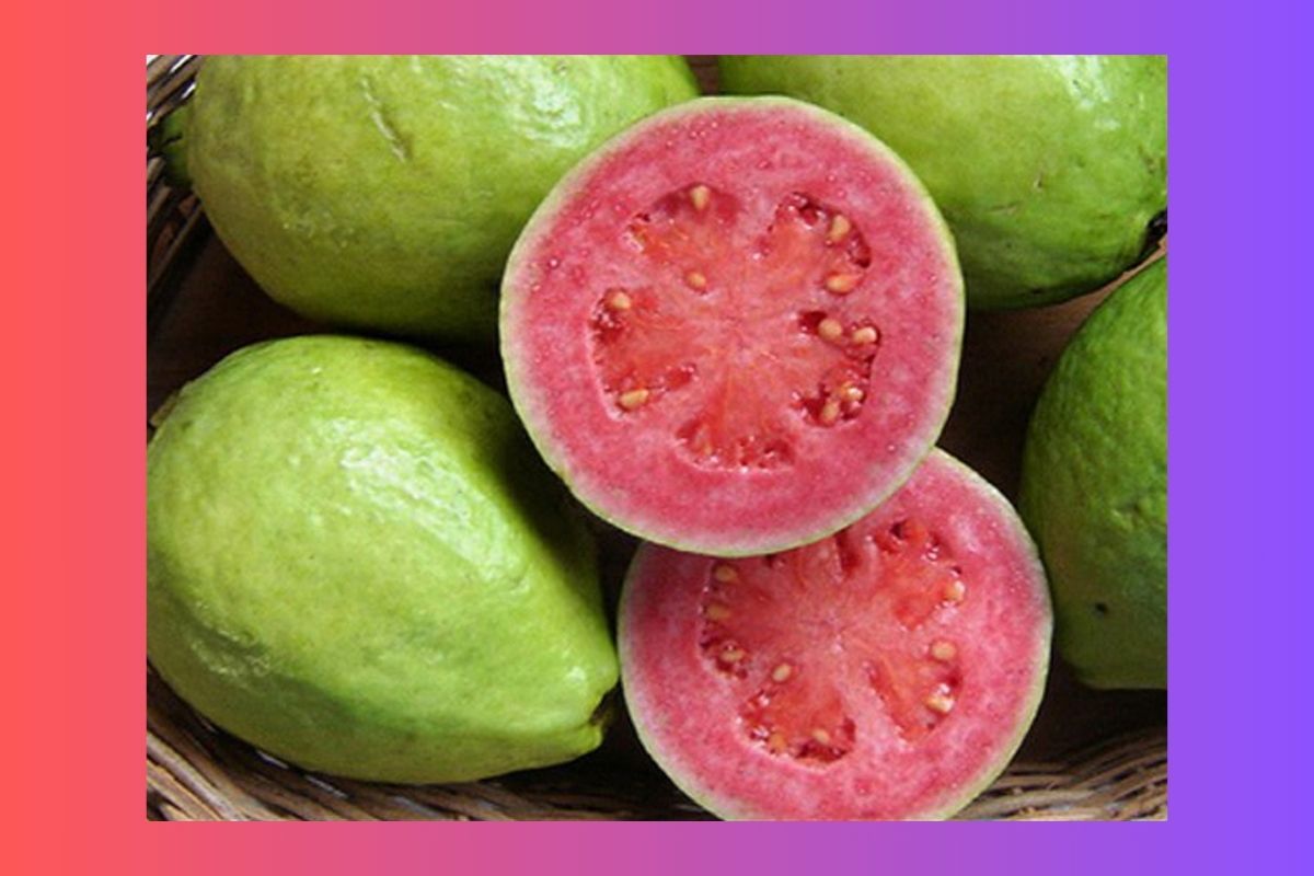Descubra os poderes da goiaba: a fruta que alivia inflamações