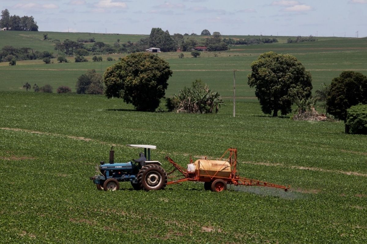 Como obter crédito rural: evento gratuito reúne mulheres agricultoras em Sorriso