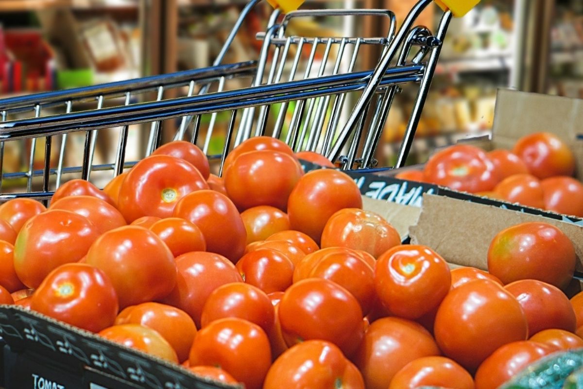 tomate canva