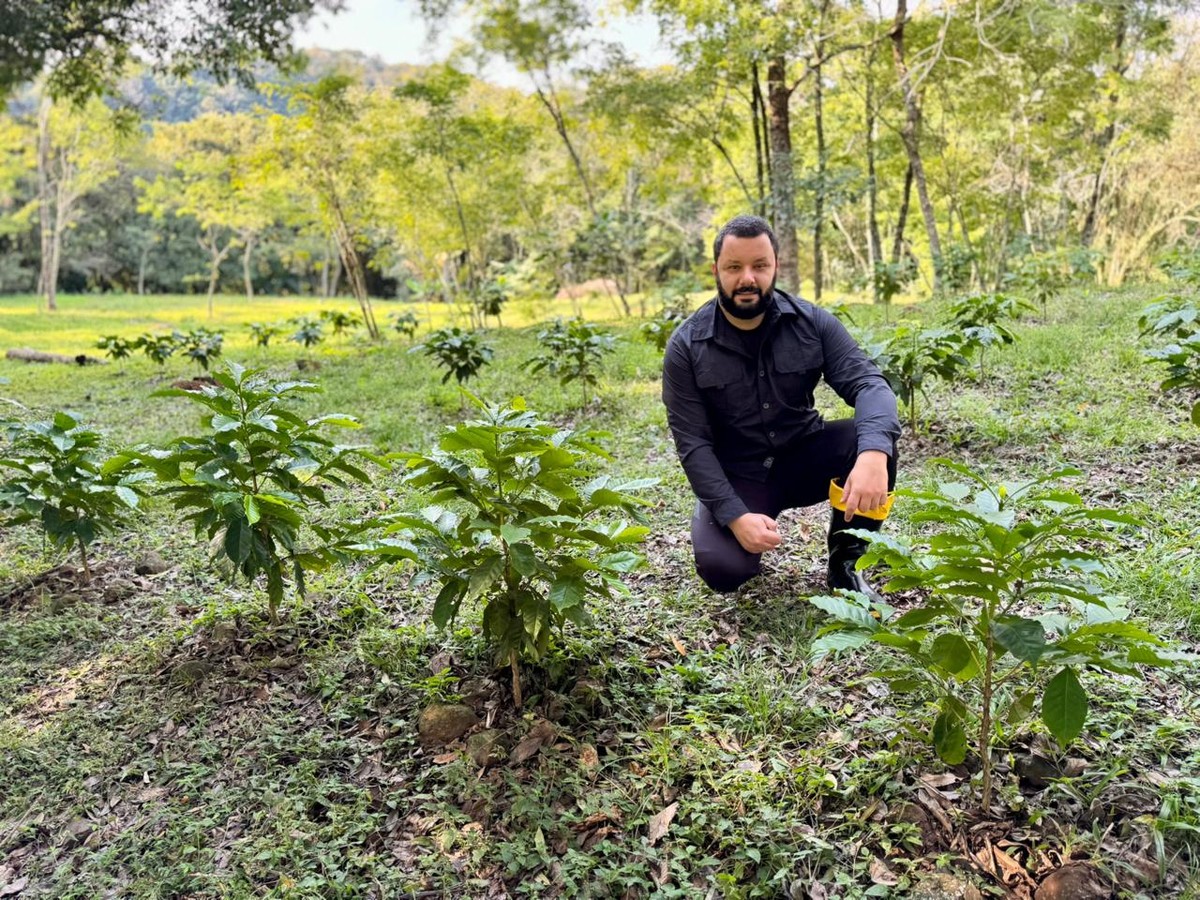 Café no frio: produtores apostam no cultivo do grão no Rio Grande do Sul