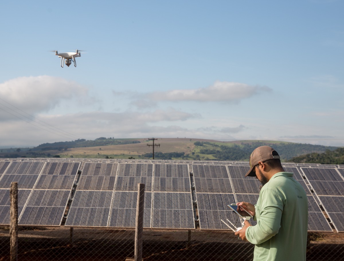 Drones e vespas favorecem controle de pragas em produção de abacate