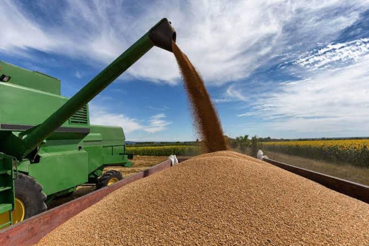 Polícia indicia produtores por suposta fraude de R$ 9 mi em soja