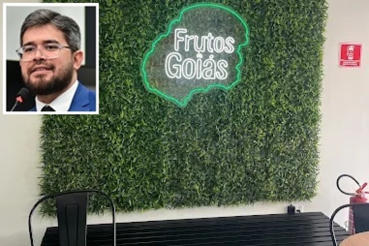 Sorveteria de secretário é furtada por suspeito com tornozeleira