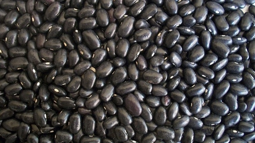 Feijão volta ao centro das discussões sobre saúde