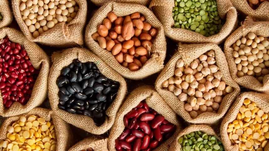 Índia prepara nova lei para modernizar mercado de sementes