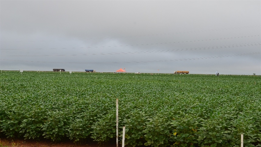 Manejo integrado transforma controle de pragas na soja