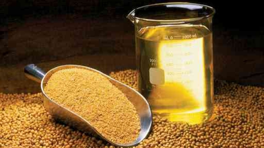 Mercado de grãos pode ganhar força em 2026