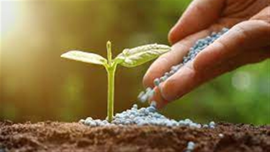 Tarifas derrubam compras de fertilizantes fosfatados nos EUA