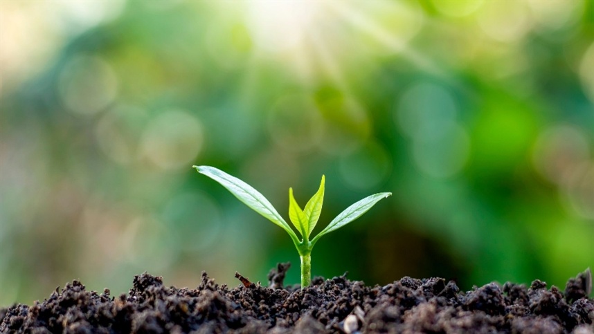 Qualidade define avanço da biotecnologia agrícola