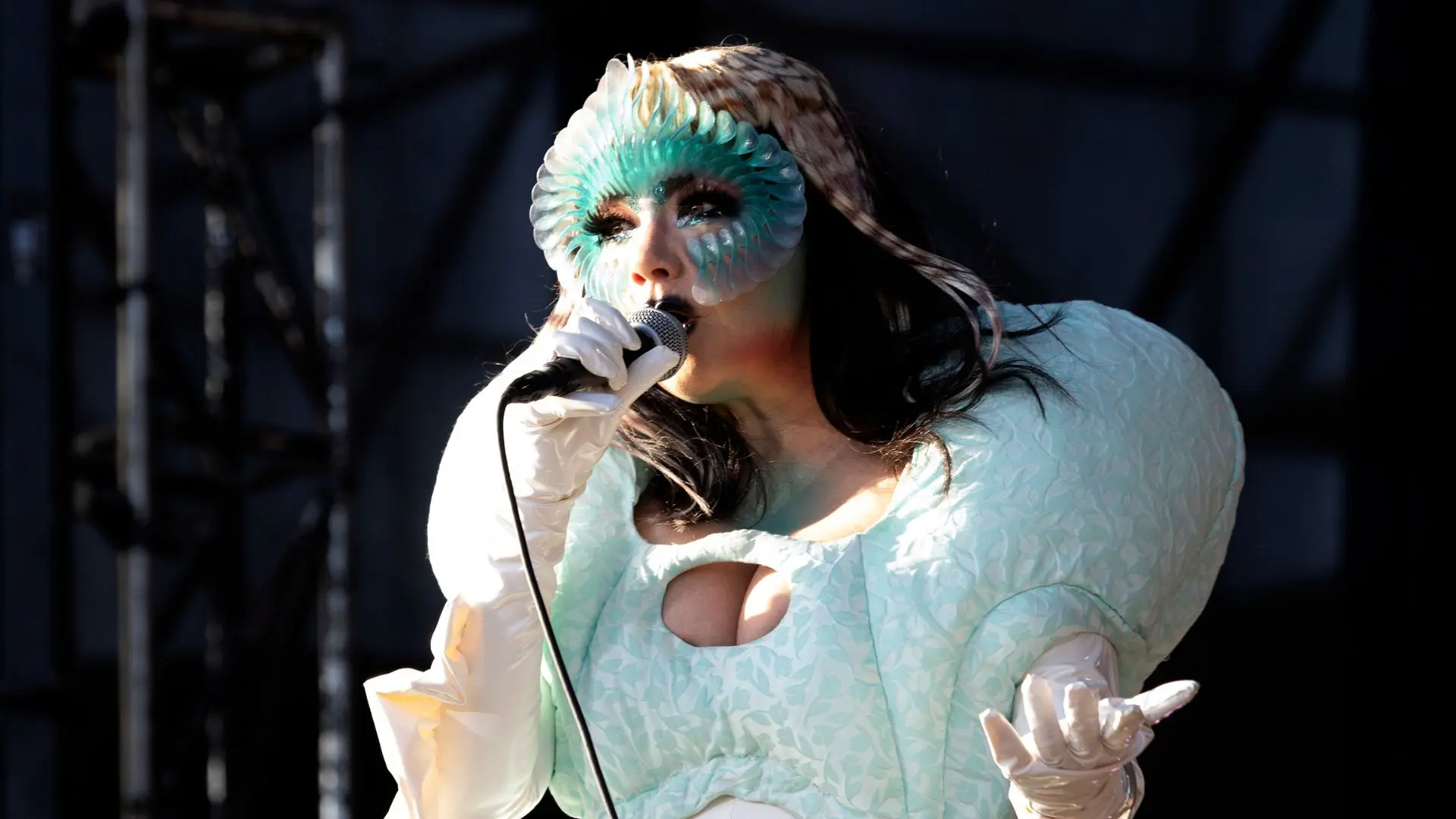 Björk declara apoio à soberania da Groenlândia e critica Trump