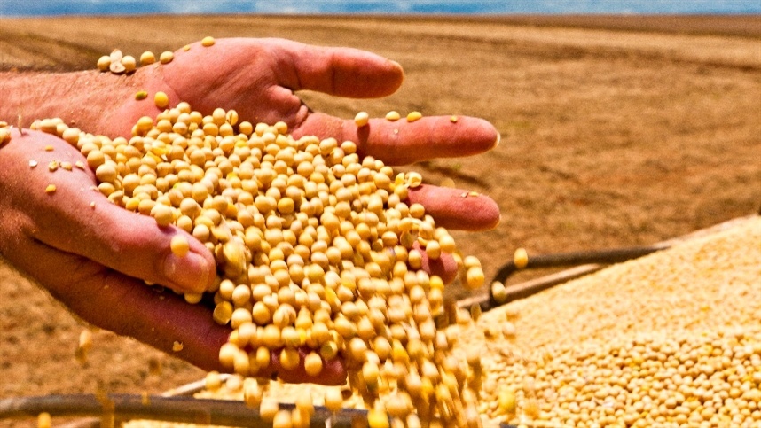 Fundos impulsionam reação dos preços da soja