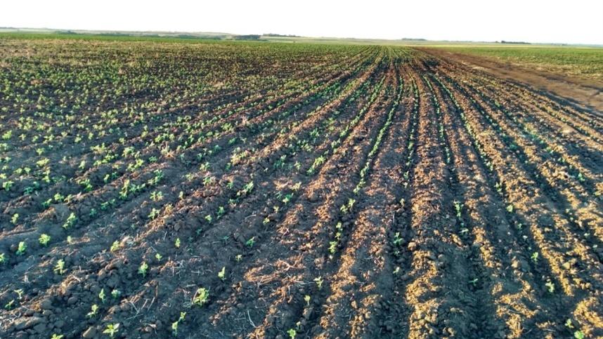 EUA reforça controle sobre terras agrícolas