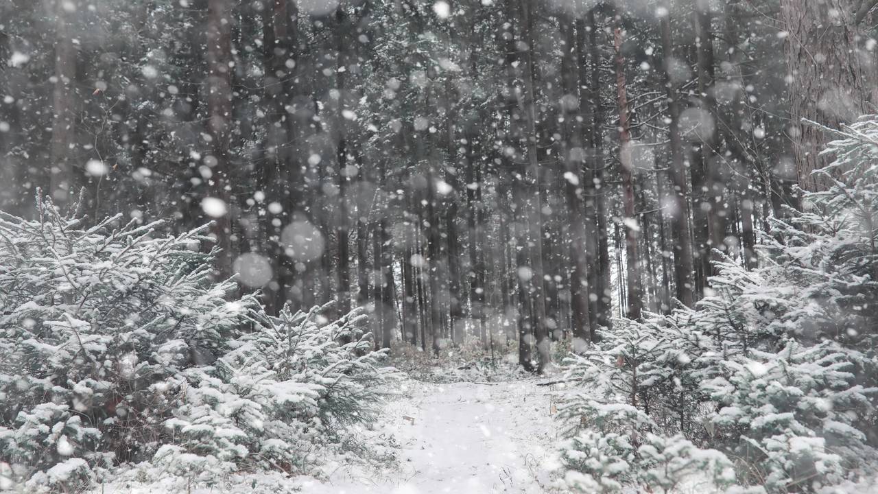 Nevasca brutal assola Nova York após o ano novo