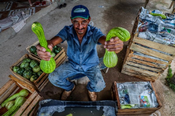 Governo do Estado investe R$ 817 milhões na agricultura familiar e amplia presença técnica em MT