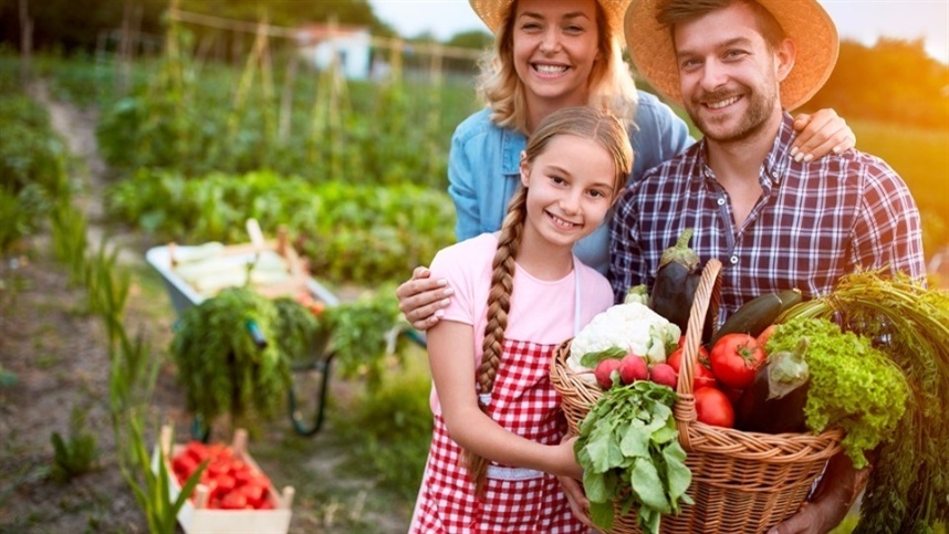 Testamento ganha espaço no planejamento rural
