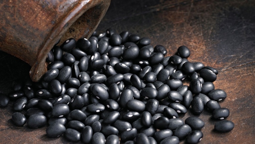 Exportações de pulses cresceram 30% em 2025