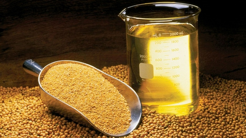 Alta do óleo de soja marca a semana