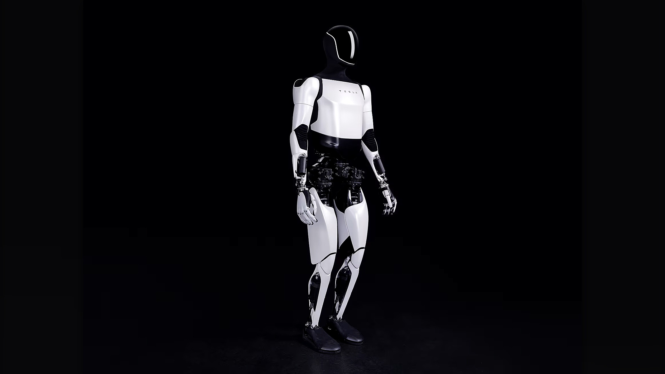 A nova grande aposta de Elon Musk