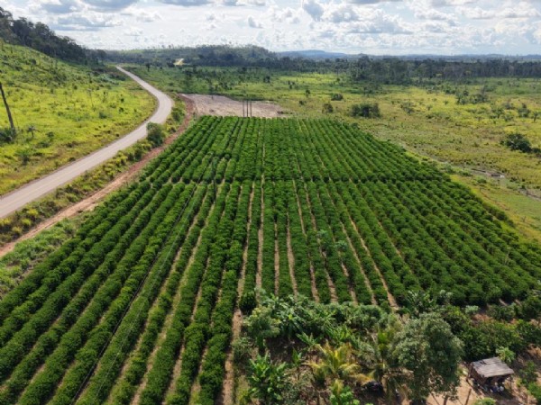 Com apoio do Banco Mundial, MT Produtivo inicia mobilização em 61 cidades com investimento de US$ 100 milhões