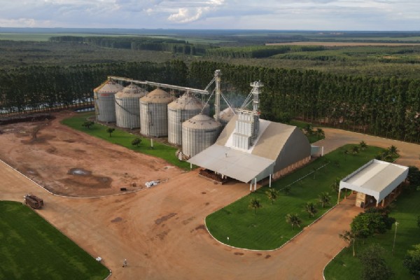Com silos lotados, Aprosoja pede socorro ao Governo para ampliar estocagem em MT