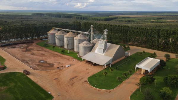 Falta de armazenagem limita renda e amplia custos no campo em Mato Grosso