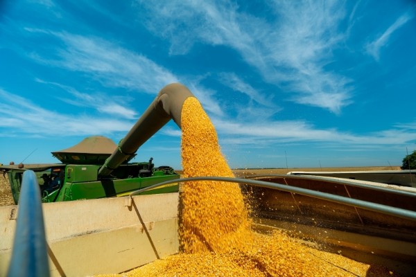 Lucas do Rio Verde estabelece modelo de produção agrícola iniciado nos anos 2000 com milho como pilar