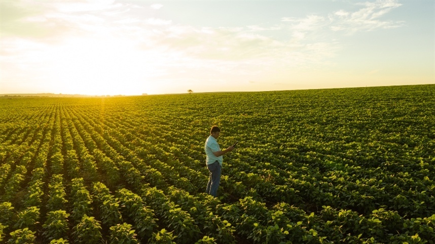 “Quem lucra no agro não é quem tem mais terra”