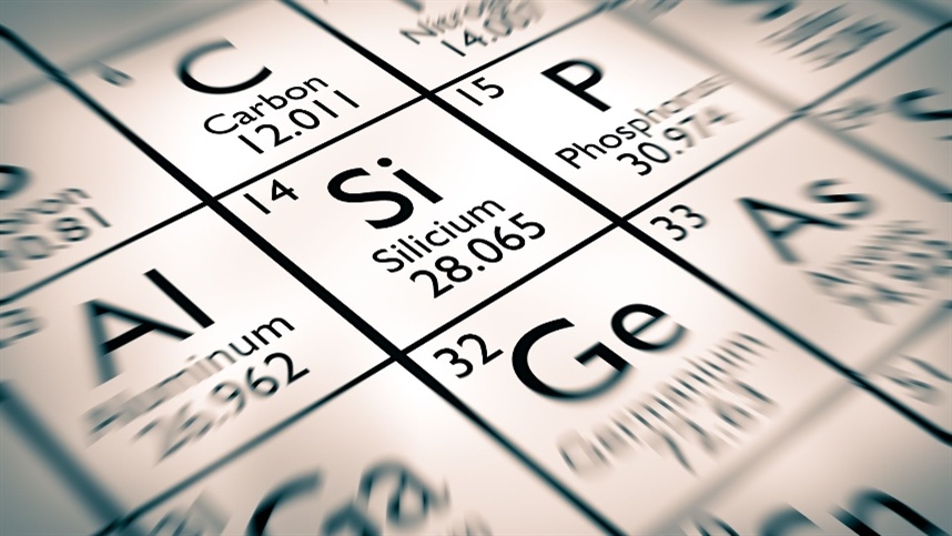 O segredo por trás de lavouras mais resistentes